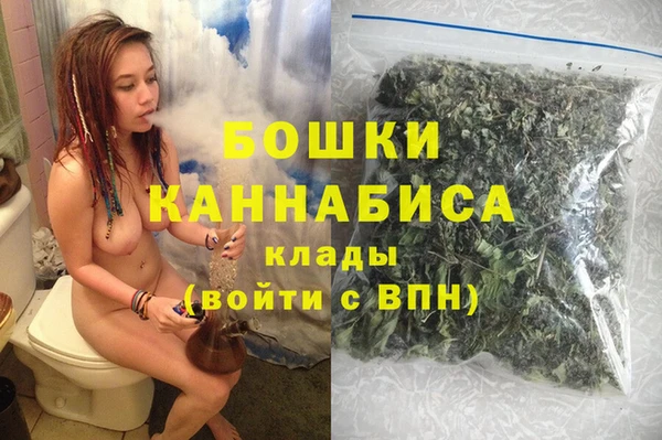 прущие грибы Беломорск