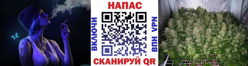 Бошки Шишки OG Kush  как найти закладки  Короча 
